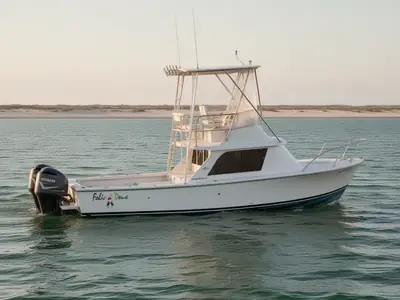 1972 Bertram 31 Flybridge Cruiser