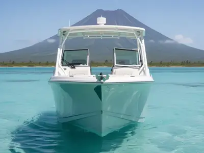 2023 Sailfish 245 DC