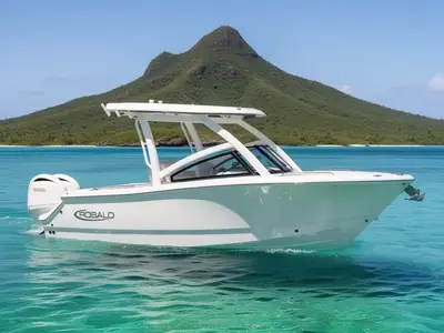 2026 Robalo R257