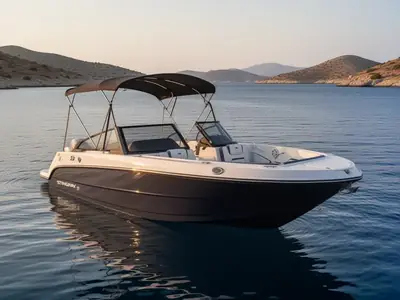 2026 Stingray 20 SBX