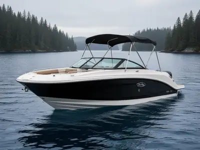 2019 Sea Ray SDX 250 Outboard