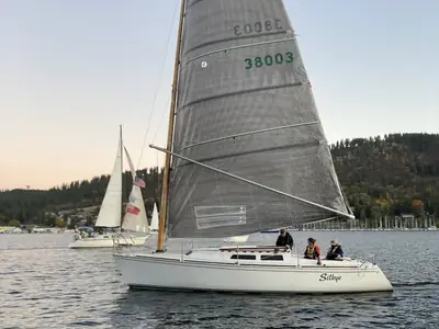 Wylie Cat Wyliecat 30