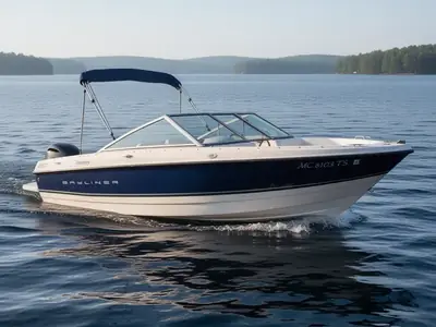 2012 Bayliner 195