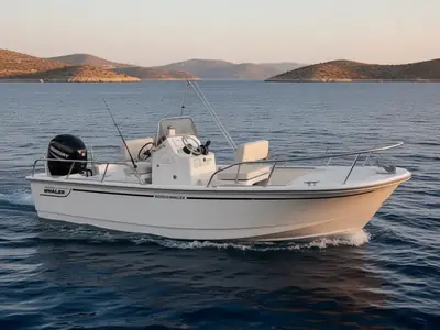 2025 Boston Whaler 150 Montauk