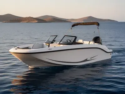 2026 Bayliner Element M17
