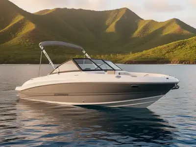 2022 Stingray 191 Dc