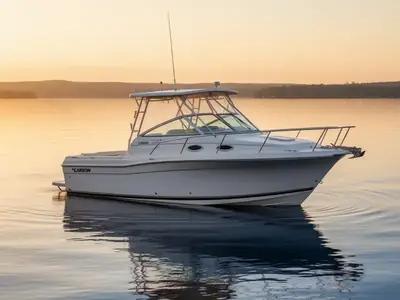 Larson Ind LXI 206 BR
