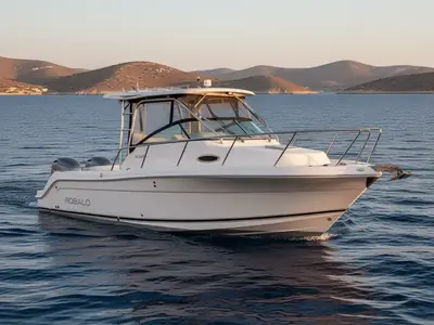 2008 Robalo 245 WALKAROUND