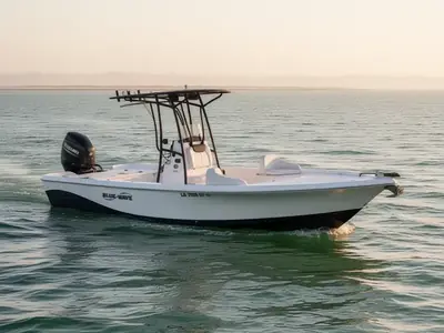 2017 Blue Wave 2400 PureBay