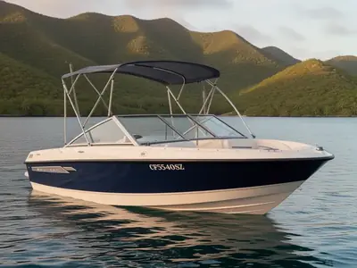 2006 Bayliner 195