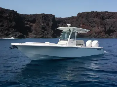 2026 Everglades 273 Center Console