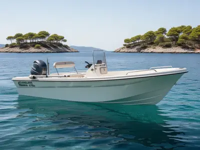 2020 Carolina Skiff 17