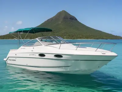 1997 Four Winns 238 VISTA