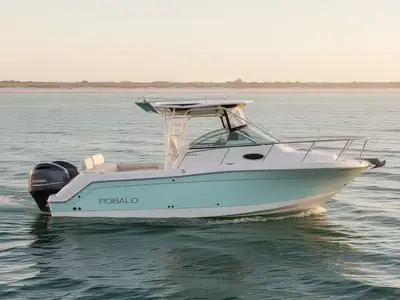 2017 Robalo R265
