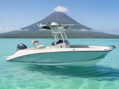 2019 Yamaha 210 FSH Sport