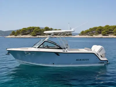 2021 Blackfin 252 DC