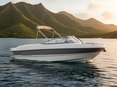 Stingray 208 LS