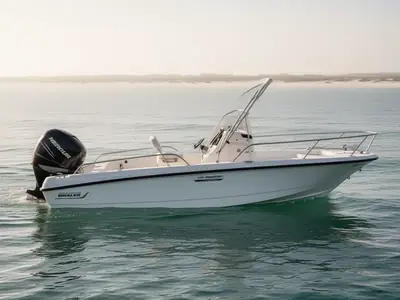 2008 Boston Whaler 230