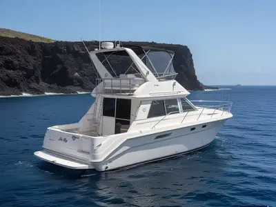 1996 Sea Ray 370 SEDAN BRIDGE