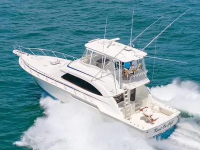 Bertram 510 Convertible