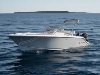 2026 Sailfish 236 DC