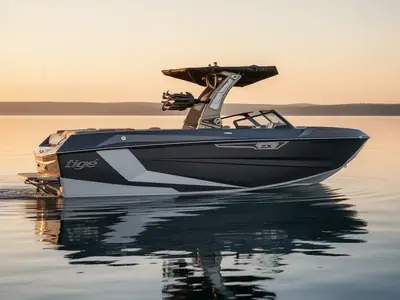 2025 Tige' 25 ZX