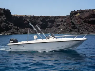 2025 Boston Whaler 160 Super Sport