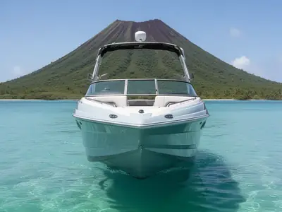 2024 Crownline E235 SURF