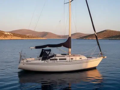 1981 Cal 31