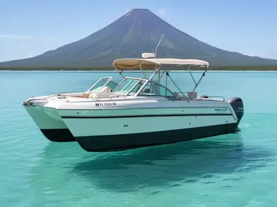 2017 WorldCat Glacier Bay Edition 2740 Dual Console