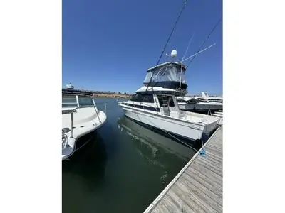 1992 Mediterranean 38