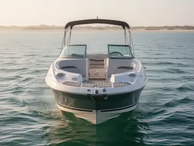 2007 Chaparral SUNESTA 234