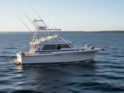 1992 Mainship Motor 35 CONVERTIBLE