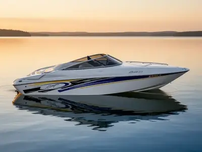 2005 Baja 275