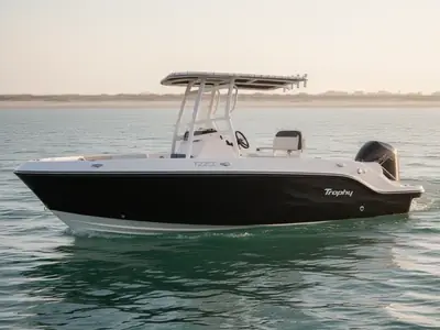 2025 Bayliner T22CC