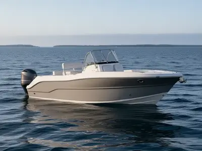 2020 Stingray 231 DC