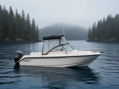 2005 Boston Whaler 210