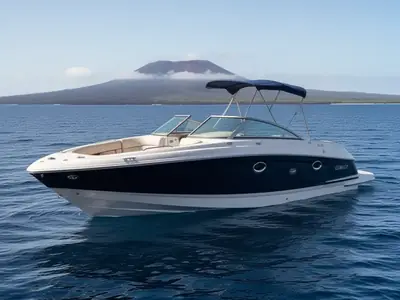 2010 Cobalt 242