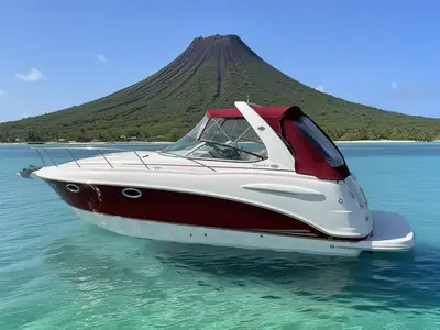 2004 Chaparral SIGNATURE 290