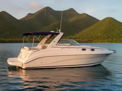 2005 Rinker FIESTA VEE 342