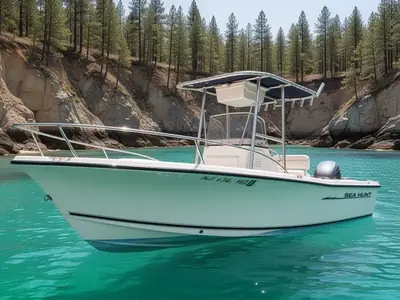 2004 Sea Hunt TRITON 202