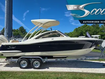 2025 Scout 240 DORADO