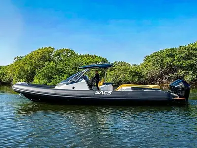 SACS Strider 11