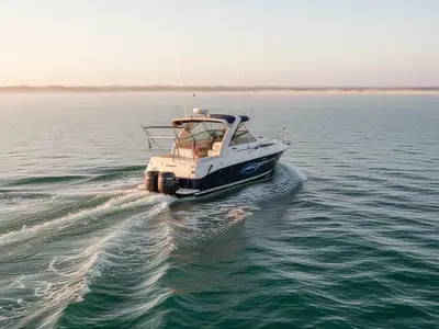 2003 Rinker FIESTA VEE 312