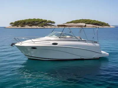 2005 Rinker FIESTA VEE 250