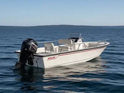 2018 Boston Whaler 170 Montauk