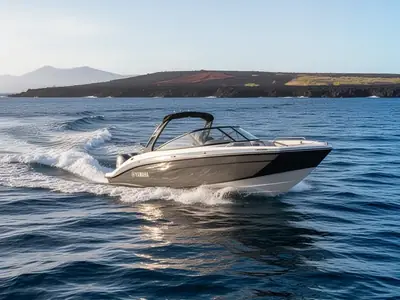 2026 Yamaha AR190