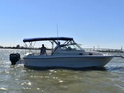 Stamas LIBERTY 288