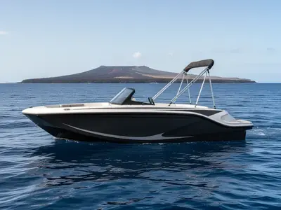 2025 Bayliner Corp M17