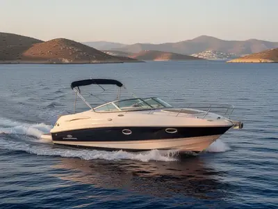 2006 Chaparral SUNESTA 236